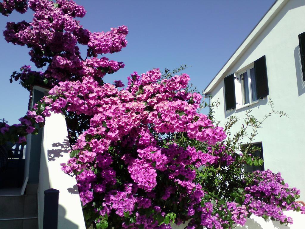 Blue View Apartments Trogir Bagian luar foto